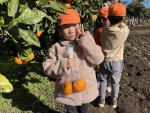 gみかん１ (5)