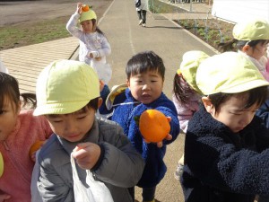 gみかん２ (6)