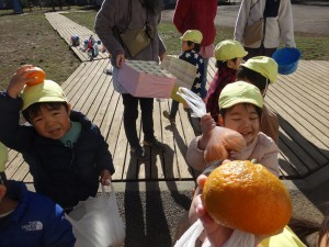gみかん２ (8)