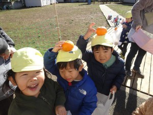 gみかん２ (9)