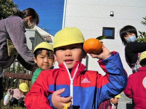 gみかん３ (4)