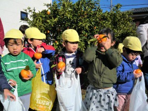gみかん３ (5)