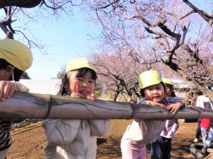 g少竹の遊具 (1)