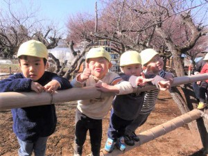 g少竹の遊具 (3)