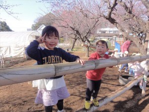 g少竹の遊具 (7)