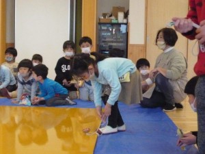ほしさくらミックス (10)