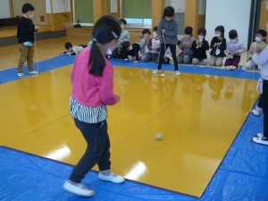 ほしさくらミックス (21)
