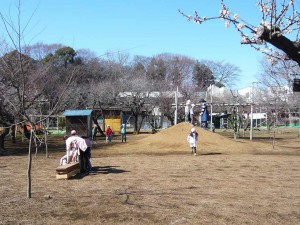 中 (88)