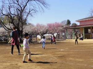 中戸外 (15)