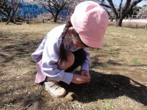 中戸外 (25)