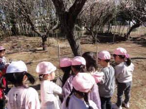 中戸外 (26)