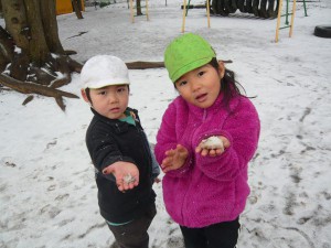 中雪 (14)