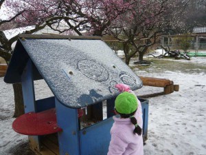 中雪 (16)