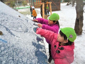 中雪 (19)