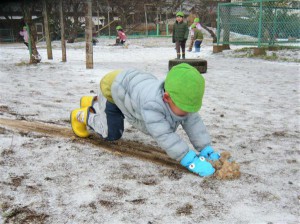 中雪 (21)