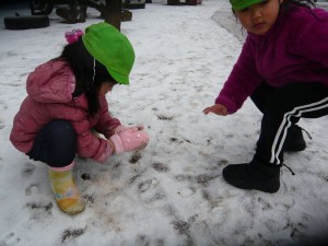 中雪 (28)