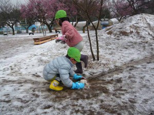 中雪 (29)