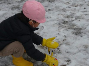 中雪 (3)