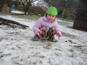 中雪 (30)