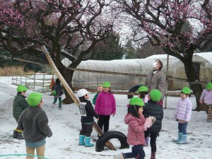 中雪 (33)