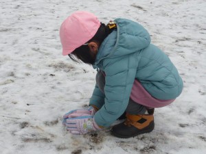 中雪 (4)