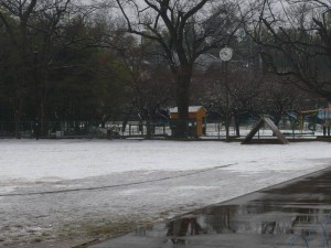 少雪 (11)