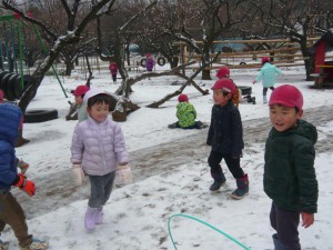 少雪 (14)