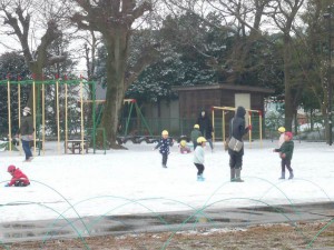 少雪 (9)