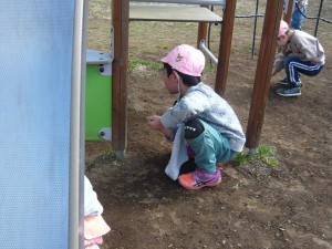 石拾い