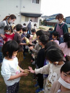 野菜洗い (12)