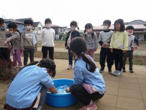 野菜洗い (6)
