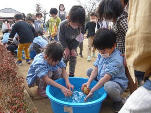 野菜洗い (7)