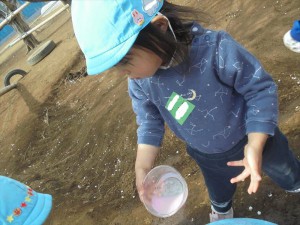 DSC02866_R