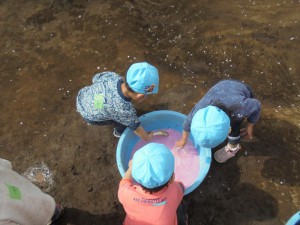 DSC02867_R
