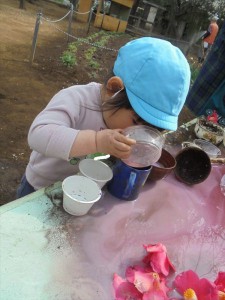 DSC02869_R