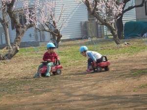 DSC02891_R