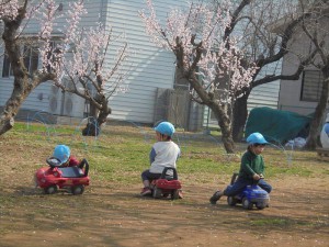 DSC02892_R