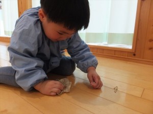 DSCF0906_R