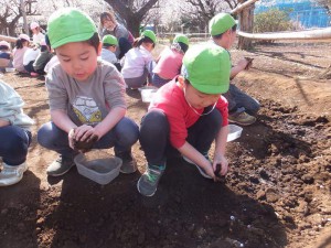 g中 (11)