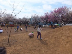 g中 (33)
