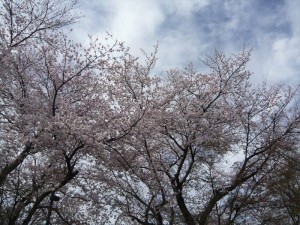 中戸外 (1)